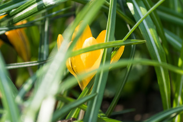 Similar image 21165335