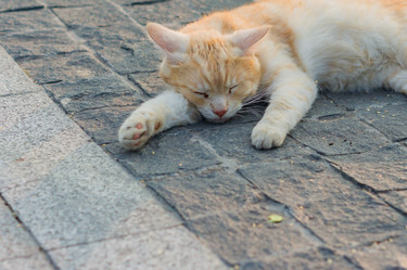 Similar image 21165586