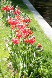 Similar image 21164961