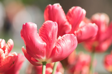 Similar image 21164962