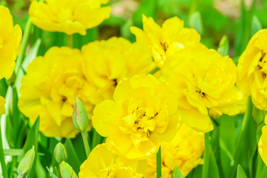 Similar image 21164965