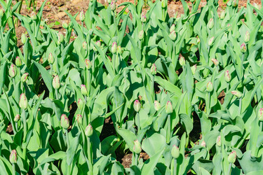 Similar image 21164966