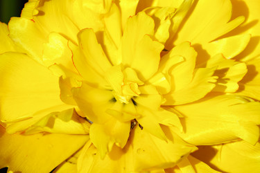 Similar image 21164968