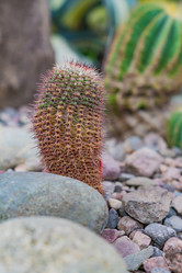 Similar image 21164978