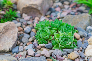 Similar image 21164983