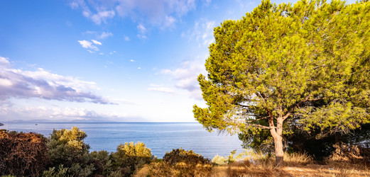 Similar image 21137321