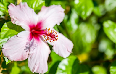 Similar image 21137329