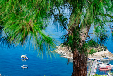 Similar image 21137335