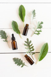 Similar image 21161448