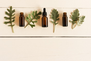 Similar image 21161699