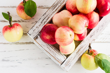 Similar image 21161709