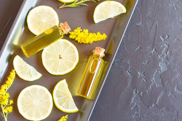 Similar image 21161712