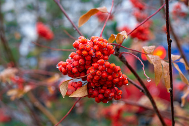 Similar image 21137339