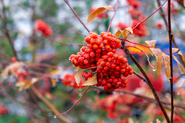 Similar image 21137340