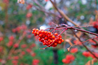 Similar image 21137341