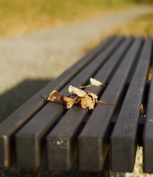 Similar image 21139712