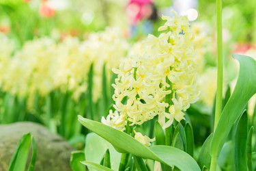 Similar image 21164591