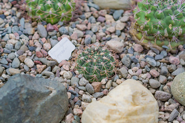 Similar image 21164596