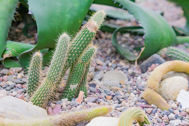 Similar image 21164598