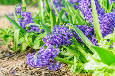 Similar image 21164601