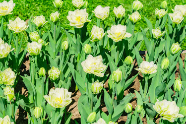 Similar image 21164603