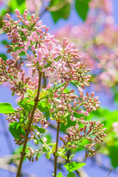 Similar image 21165007