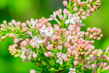 Similar image 21165009