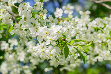 Similar image 21165011