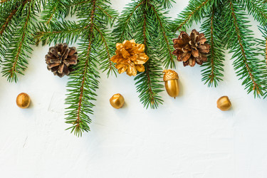 Similar image 21157462