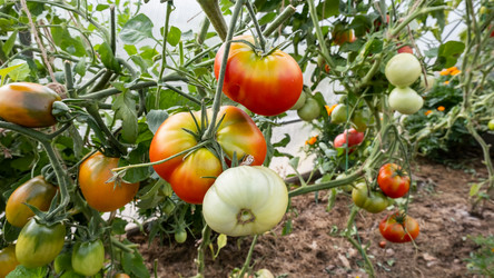 Similar image 21137120