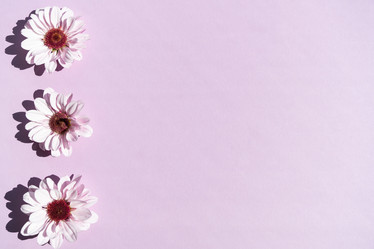 Similar image 21137122