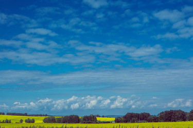 Similar image 21137763