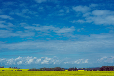 Similar image 21137764