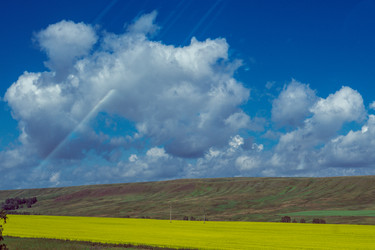 Similar image 21137765