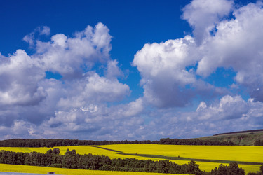 Similar image 21137766