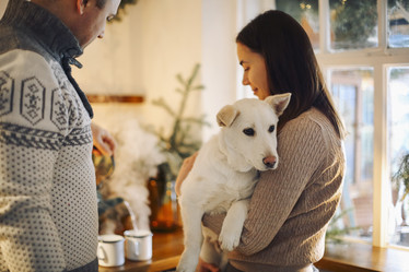 Similar image 21145254