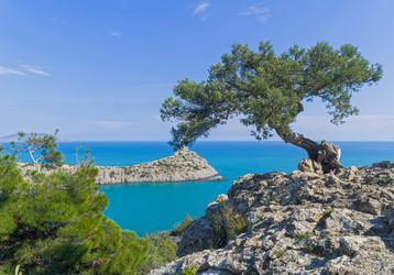 Similar image 21137891