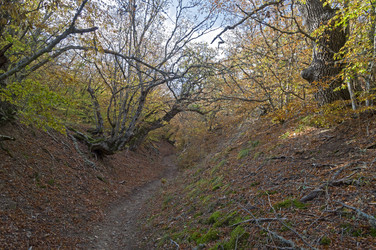 Similar image 21137894