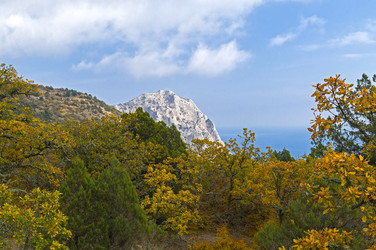 Similar image 21137897