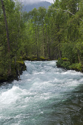 Similar image 21137898