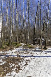 Similar image 21137899