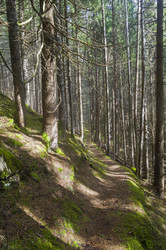 Similar image 21137902