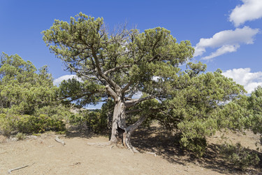 Similar image 21137903