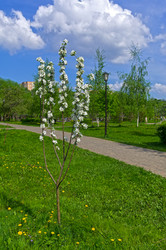 Similar image 21137904