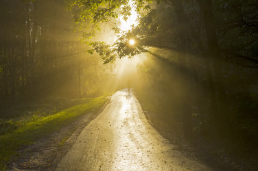 Similar image 21137906