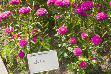 Similar image 21137908