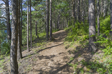 Similar image 21137909