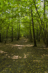 Similar image 21137912