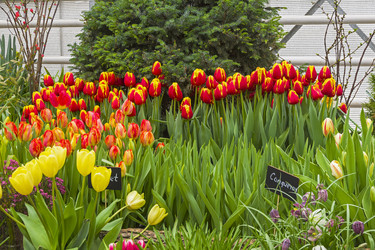 Similar image 21137914