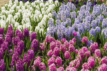 Similar image 21137916